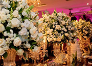 Fotos de Mesa e Decoração / Casamento
